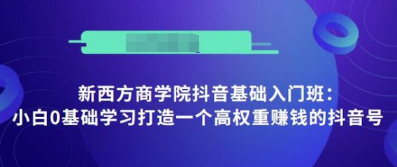 抖音基础入门班：小白0基础学习打造一个高权重赚钱的抖音号-创业资源库