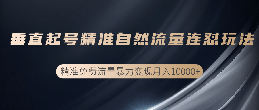 垂直起号精准自然流量连爆玩法，精准引流暴力变现月入10000+-创业资源库