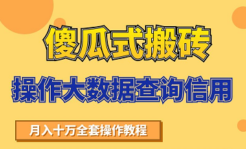 搬砖操作大数据查询信用项目赚钱教程，祝你快速月入6万-创业资源库