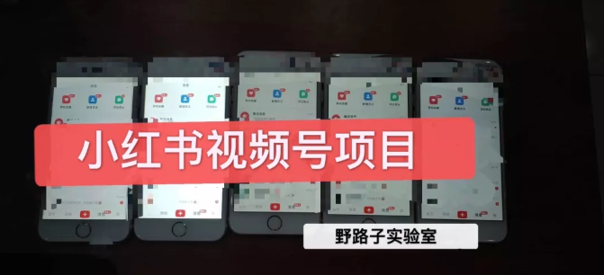 野路子小红书视频号1.0项目，直接上手操作就能赚钱的视频号项目-创业资源库
