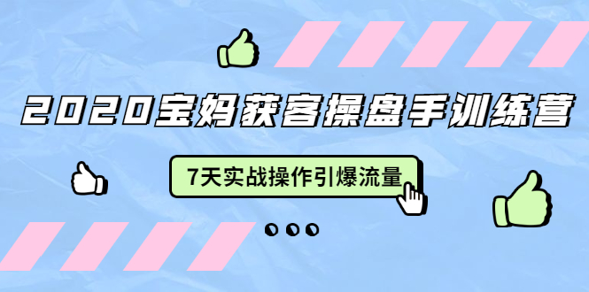 2020宝妈获客操盘手训练营：7天实战操作引爆 母婴、都市、购物宝妈流量-创业资源库