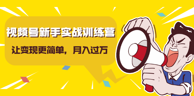 视频号新手实战训练营，让变现更简单，玩赚视频号，轻松月入过万-创业资源库