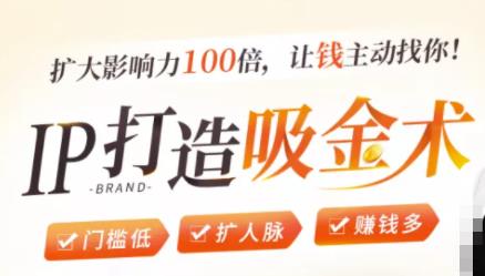 IP打造吸金术：0基础0资源，也能扩大影响力100倍，让钱主动找你！-创业资源库