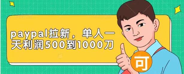 Paypal拉新赚美刀项目，单人一天利润500-1000刀【视频课程】-创业资源库