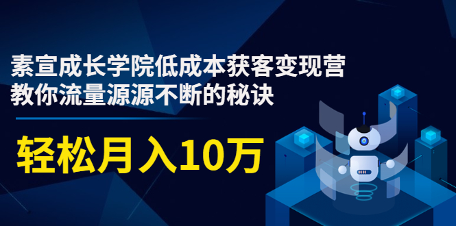 素宣成长学院低成本获客变现营，教你流量源源不断的秘诀，轻松月入10万-创业资源库