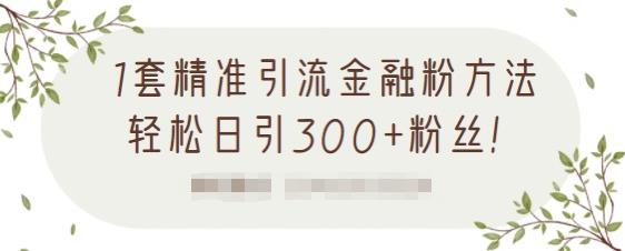 1套精准引流金融粉方法，轻松日引300+粉丝-创业资源库