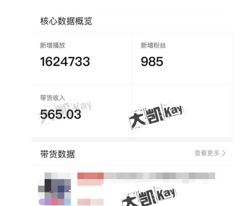 大凯进阶圈新玩法之拼多多视频玩法，利润大概一个号一天能有500~1500的左右!-创业资源库