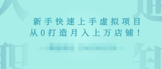 2022年虚拟项目实战指南，新手从0打造月入上万店铺-创业资源库