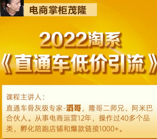 茂隆2022直通车低价引流玩法，教大家如何低投入高回报的直通车玩法-创业资源库