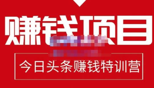 懒人领域·今日头条项目玩法，头条中视频项目，单号收益在50—500可批量-创业资源库
