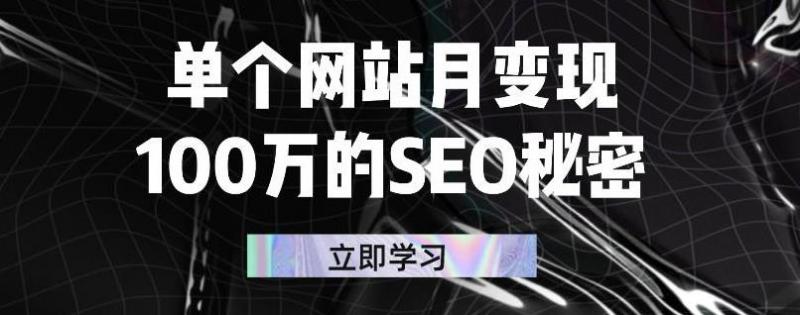 单个网站月变现100万的SEO秘密，百分百做出赚钱站点-创业资源库