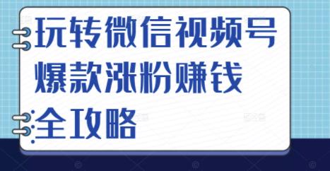 玩转微信视频号爆款涨粉赚钱全攻略，让你快速抓住流量风口，收获红利财富-创业资源库