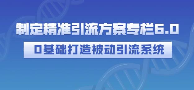 制定精准引流方案专栏6.0，0基础打造被动引流系统-创业资源库