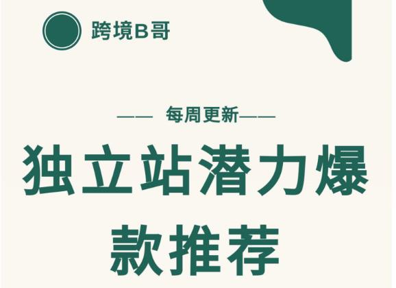 【跨境B哥】独立站潜力爆款选品推荐，测款出单率高达百分之80-创业资源库