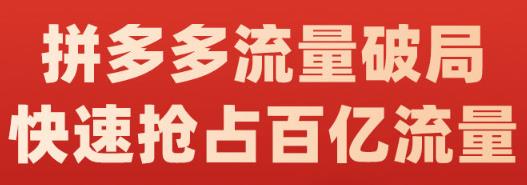 阿杰·拼多多流量破局:如何打黑标，爆款的思路，拼多多流量框架，快速抢占百亿流量-创业资源库