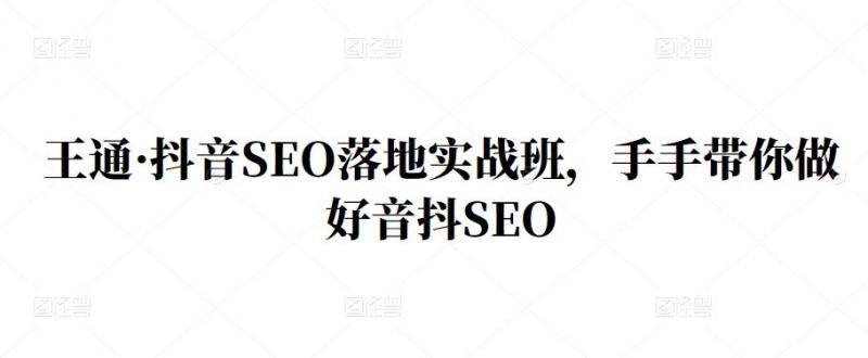 王通·抖音SEO落地实战班，手‬手带你做好音抖‬‬SEO-创业资源库