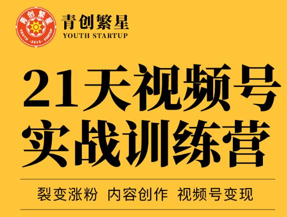 张萌21天视频号实战训练营，裂变涨粉、内容创作、视频号变现 价值298元-创业资源库