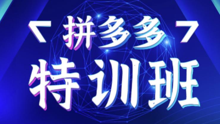 星雪教育·拼多多基础班+进阶班+突破班，用系统的学习模式快速改变现状价值3580元-创业资源库