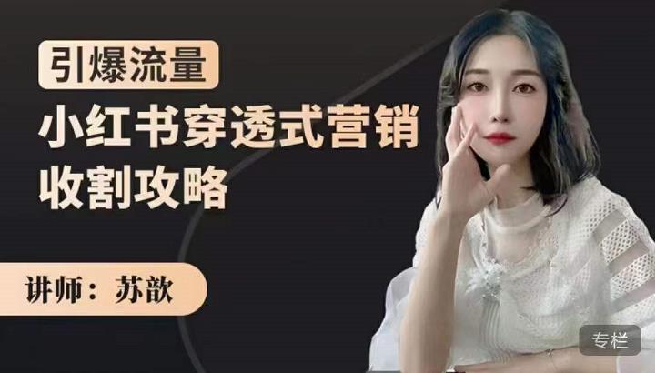 苏歆：小红书穿透式营销收割攻略，引爆流量，助你玩转小红书-创业资源库
