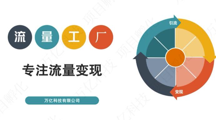 收费3980的流量工厂回粉项目，号称1个粉10元【详细玩法教程解析】-创业资源库