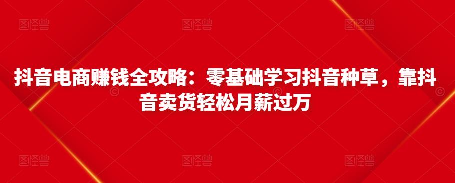 抖音电商赚钱全攻略：零基础学习抖音种草，靠抖音卖货轻松月薪过万-创业资源库