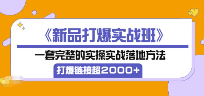 凌童《新品打爆实战班》,一套完整的实操实战落地方法，打爆链接超2000+（28节课)-创业资源库