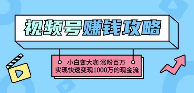玩转微信视频号赚钱：小白变大咖涨粉百万实现快速变现1000万的现金流-创业资源库