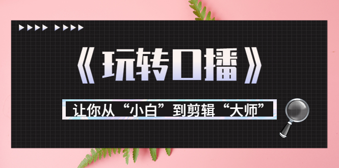 月营业额700万+大佬教您《玩转口播》让你从“小白”到剪辑“大师”-创业资源库