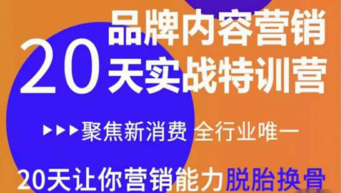 《内容营销实操特训营》20天让你营销能力脱胎换骨（价值3999）-创业资源库