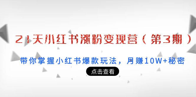 21天小红书涨粉变现营（第3期）：带你掌握小红书爆款玩法，月赚10W+秘密-创业资源库