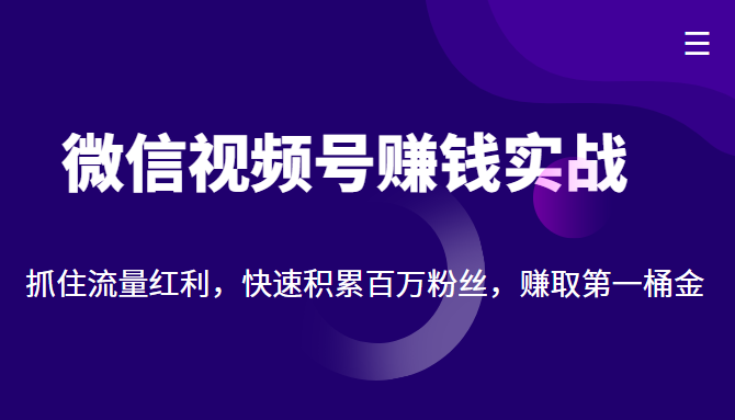 微信视频号赚钱实战：抓住流量红利，快速积累百万粉丝，赚取你的第一桶金-创业资源库