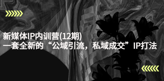 新媒体IP内训营(12期)，一套全新的“公域引流，私域成交”IP打法，直接带走-创业资源库