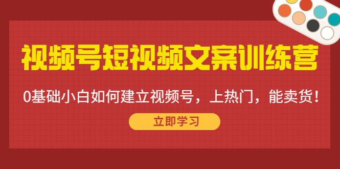 视频号短视频文案训练营：0基础小白如何建立视频号，上热门，能卖货！-创业资源库