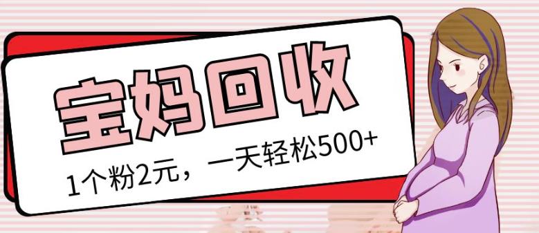 最新小红书母婴号宝妈粉回收项目，1个粉2元，一天轻松500+案例分享【粉丝包回收】-创业资源库
