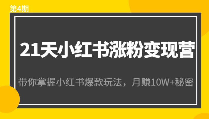 21天小红书涨粉变现营（第4期）：带你掌握小红书爆款玩法，月赚10W+秘密-创业资源库