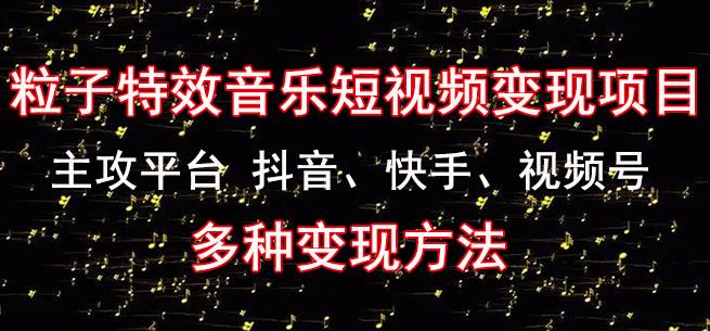 黄岛主《粒子特效音乐短视频变现项目》主攻平台抖音、快手、视频号多种变现方法-创业资源库
