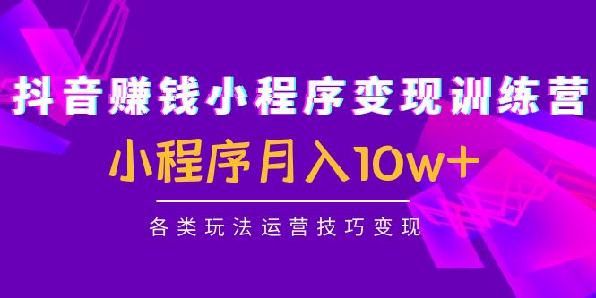 抖音赚钱小程序变现训练营：小程序月入10w+各类玩法运营技巧变现-创业资源库