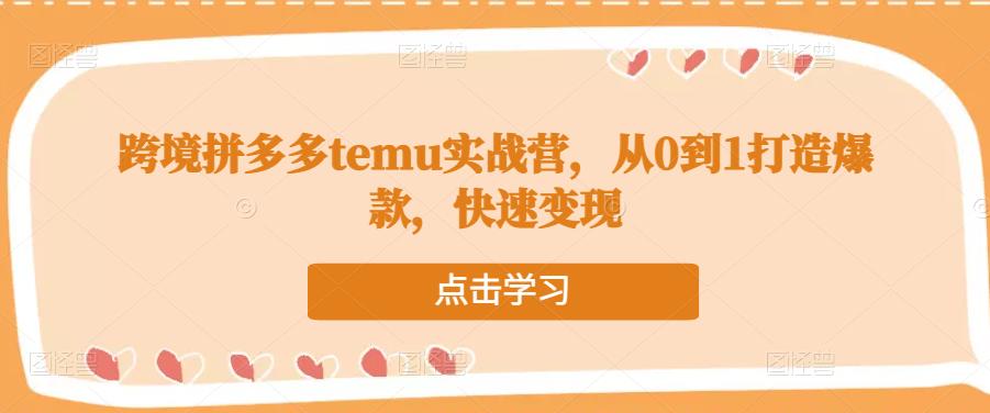 跨境拼多多temu实战营，从0到1打造爆款，快速变现-创业资源库