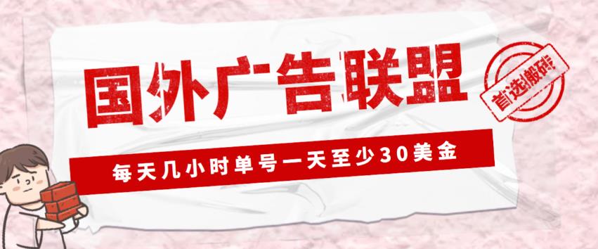 外面收费1980的最新国外LEAD广告联盟搬砖项目，单号一天至少30美金【详细玩法教程】-创业资源库