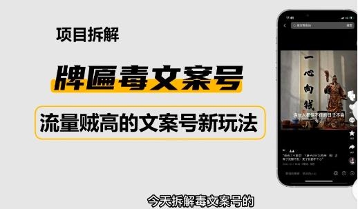 2023抖音快手毒文案新玩法，牌匾文案号，起号快易变现-创业资源库