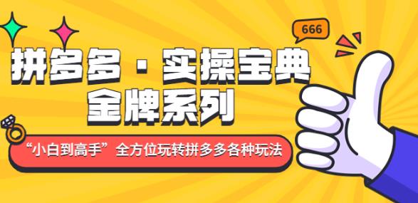 拼多多·实操宝典：金牌系列“小白到高手”带你全方位玩转拼多多各种玩法-创业资源库