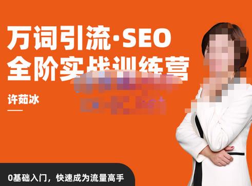 许茹冰·万词引流-SEO全阶实战训练营，0基础入门，快速成为流量高手-创业资源库