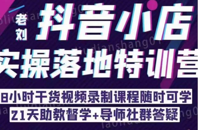 抖音小店实操落地特训营：抖音小店无货源精细化运营，抖店商品卡流量（22节）-创业资源库