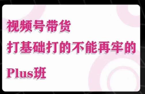 大播汇·视频号带货Puls班，视频号底层逻辑，起号自然流鱼塘等玩法-创业资源库