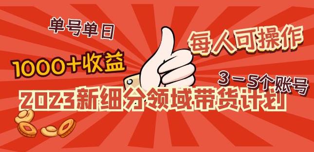 2023新细分领域带货计划：单号单日1000+收益不难，每人可操作3-5个账号-创业资源库