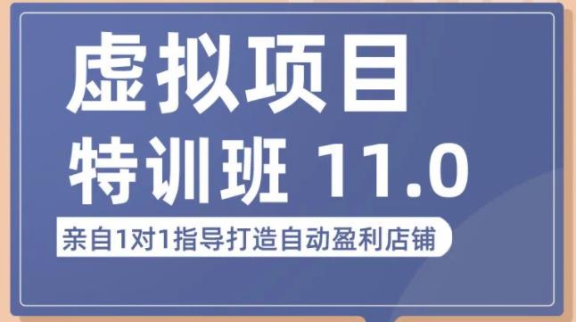 陆明明·虚拟项目特训班（10.0+11.0），0成本获取虚拟素材，0基础打造自动盈利店铺-创业资源库