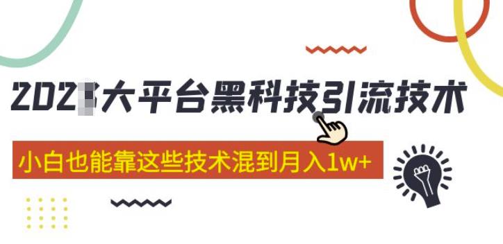 大平台黑科技引流技术，小白也能靠这些技术混到月入1w+(2022年的课程）-创业资源库