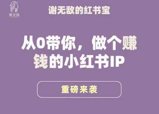 谢无敌·小红书运营大宝典，从0带你做个赚钱的小红书IP-创业资源库
