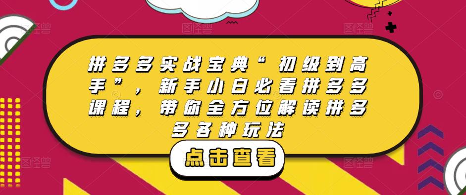 拼多多实战宝典“初级到高手”，新手小白必看拼多多课程，带你全方位解读拼多多各种玩法-创业资源库