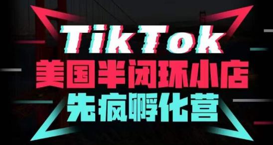 疯人院·TikTok美国半闭环小店孵化营，抢占TikTok美国蓝海市场，开店、运营、带货、投流全实操-创业资源库
